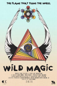 Wild Magic